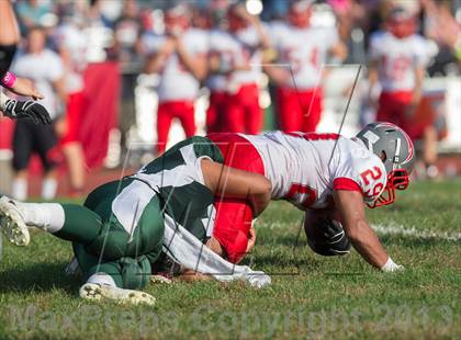 Thumbnail 2 in Connetquot @ William Floyd photogallery.