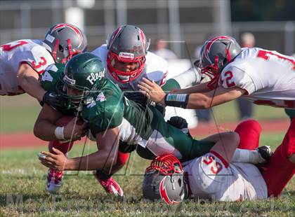 Thumbnail 2 in Connetquot @ William Floyd photogallery.