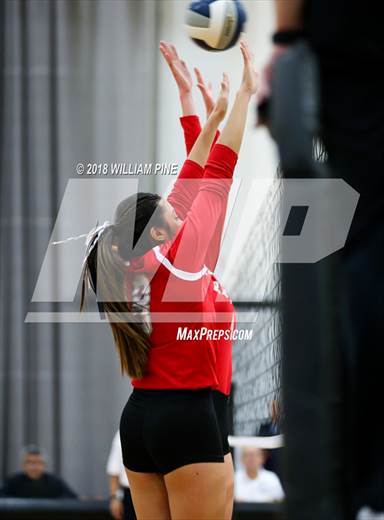 null - Photo 01