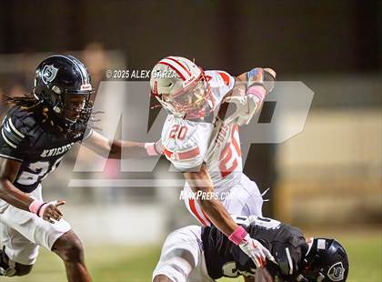 Thumbnail 2 in Judson @ Steele photogallery.