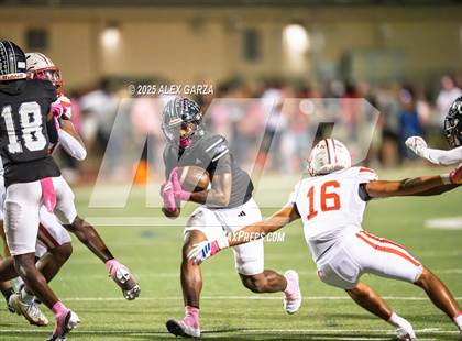 Thumbnail 1 in Judson @ Steele photogallery.