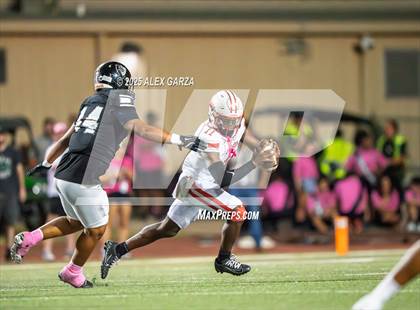 Thumbnail 2 in Judson @ Steele photogallery.