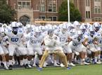 Photo from the gallery "St. Xavier @ Elder"
