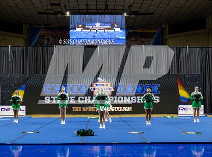 Thumbnail 1 in Thatcher - Cheer (AIA Division IV Prelims) photogallery.