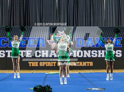 Thumbnail 1 in Thatcher - Cheer (AIA Division IV Prelims) photogallery.