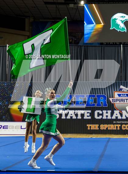 Thumbnail 1 in Thatcher - Cheer (AIA Division IV Prelims) photogallery.