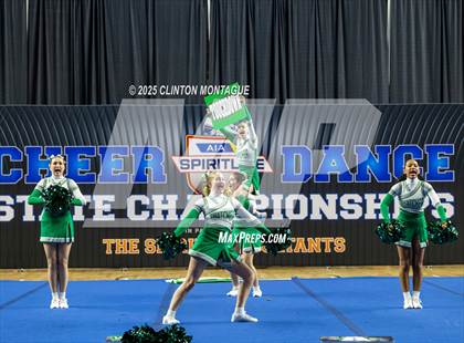 Thumbnail 3 in Thatcher - Cheer (AIA Division IV Prelims) photogallery.
