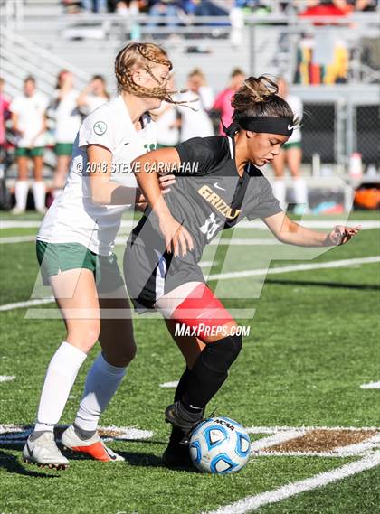 Thumbnail 1 in Logan vs. Snow Canyon (UHSAA 4A Semifinal) photogallery.