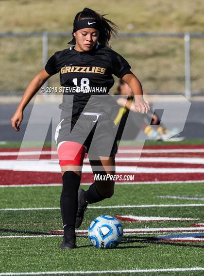 Thumbnail 1 in Logan vs. Snow Canyon (UHSAA 4A Semifinal) photogallery.