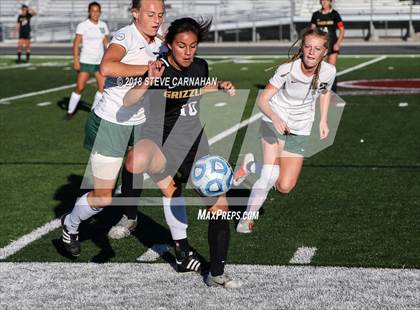 Thumbnail 1 in Logan vs. Snow Canyon (UHSAA 4A Semifinal) photogallery.