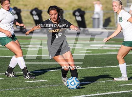 Thumbnail 3 in Logan vs. Snow Canyon (UHSAA 4A Semifinal) photogallery.