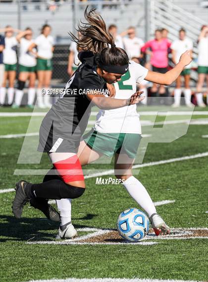 Thumbnail 3 in Logan vs. Snow Canyon (UHSAA 4A Semifinal) photogallery.