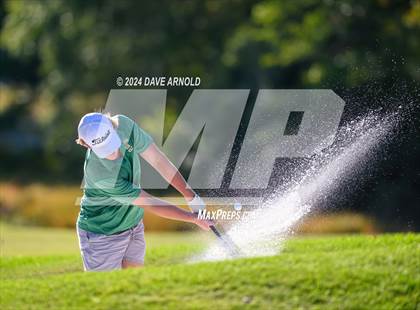 Thumbnail 2 in Massabesic @ Kennebunk photogallery.