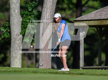 Thumbnail 2 in Massabesic @ Kennebunk photogallery.