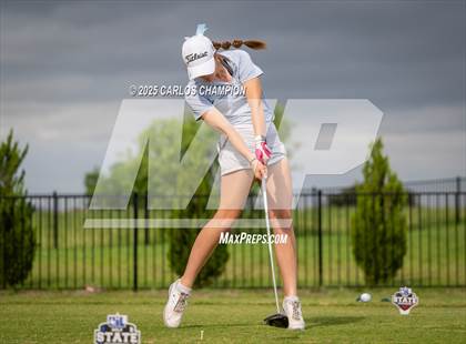 Thumbnail 1 in UIL 4A Golf Finals photogallery.