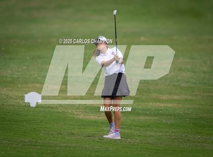 Thumbnail 3 in UIL 4A Golf Finals photogallery.