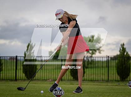 Thumbnail 2 in UIL 4A Golf Finals photogallery.