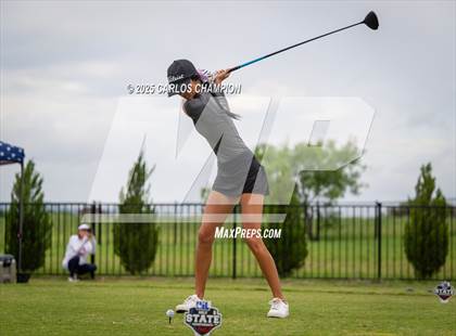 Thumbnail 3 in UIL 4A Golf Finals photogallery.