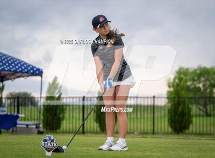Thumbnail 2 in UIL 4A Golf Finals photogallery.