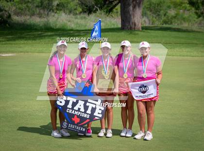 Thumbnail 2 in UIL 4A Golf Finals photogallery.