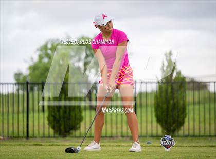Thumbnail 2 in UIL 4A Golf Finals photogallery.
