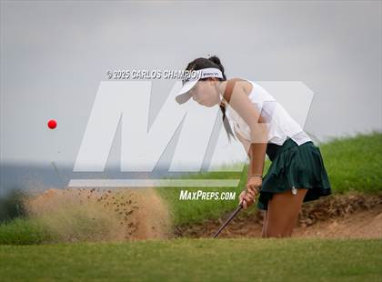 Thumbnail 2 in UIL 4A Golf Finals photogallery.