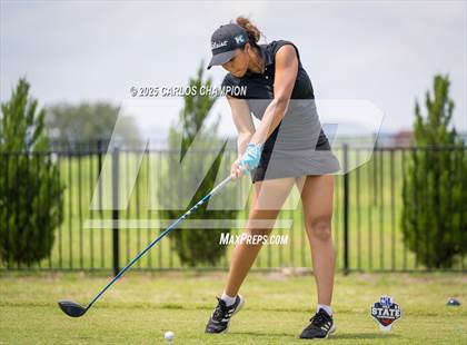 Thumbnail 3 in UIL 4A Golf Finals photogallery.