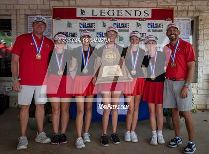 Thumbnail 3 in UIL 4A Golf Finals photogallery.