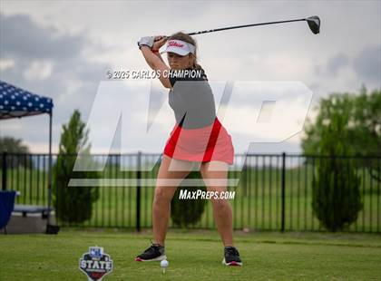 Thumbnail 2 in UIL 4A Golf Finals photogallery.