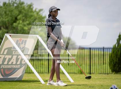 Thumbnail 2 in UIL 4A Golf Finals photogallery.