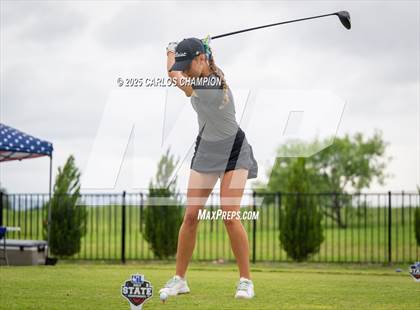 Thumbnail 3 in UIL 4A Golf Finals photogallery.