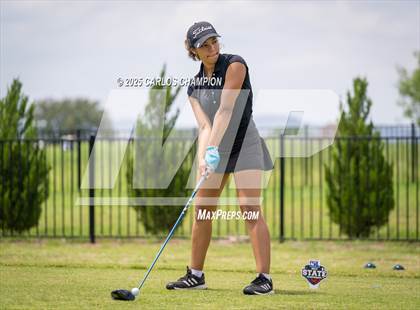 Thumbnail 2 in UIL 4A Golf Finals photogallery.