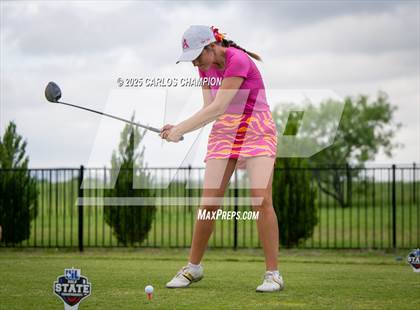 Thumbnail 3 in UIL 4A Golf Finals photogallery.