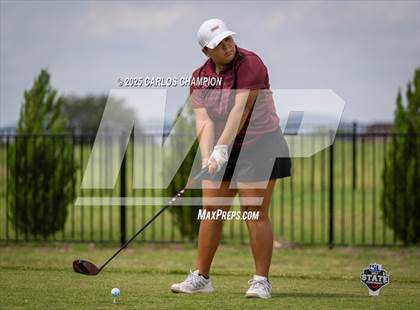 Thumbnail 1 in UIL 4A Golf Finals photogallery.
