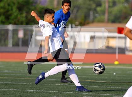 Thumbnail 3 in El Rancho vs. Lynwood (CIF SS D3 Playoffs) photogallery.