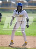 Photo from the gallery "Eagle Rock @ Muir"