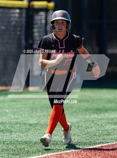 null - Photo 41
