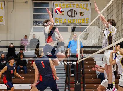 Thumbnail 3 in Viewpoint @ Crespi photogallery.