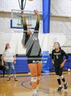 Photo from the gallery "Oakleaf @ Trinity Christian Academy"