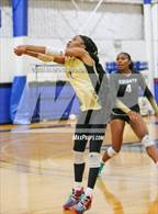Photo from the gallery "Oakleaf @ Trinity Christian Academy"