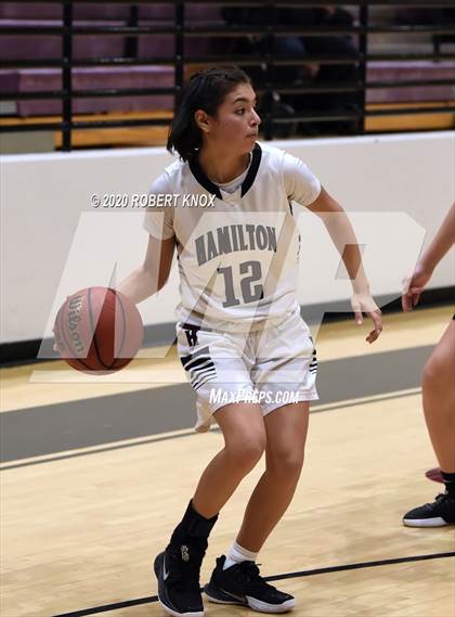 Thumbnail 2 in Basha @ Hamilton photogallery.