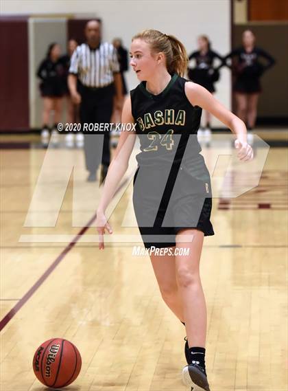 Thumbnail 3 in Basha @ Hamilton photogallery.