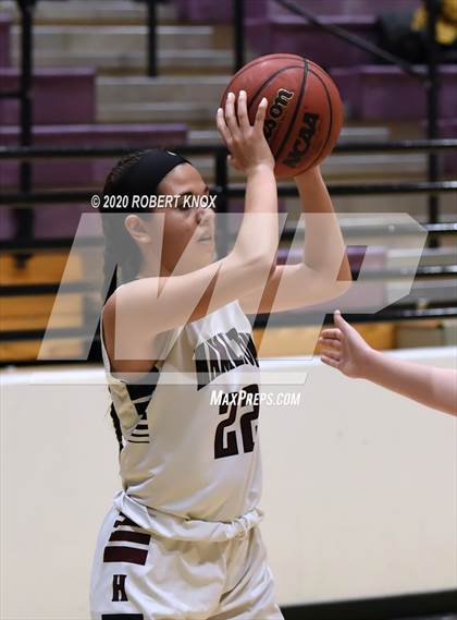 Thumbnail 3 in Basha @ Hamilton photogallery.