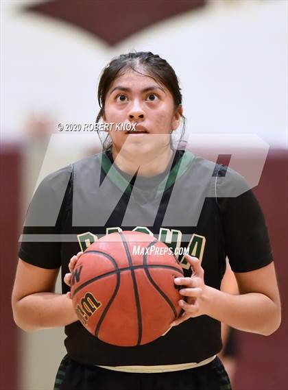 Thumbnail 3 in Basha @ Hamilton photogallery.
