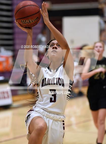 Thumbnail 3 in Basha @ Hamilton photogallery.