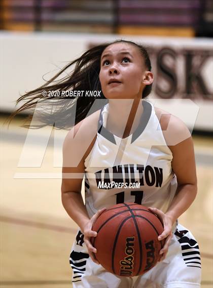 Thumbnail 2 in Basha @ Hamilton photogallery.