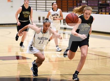 Thumbnail 3 in Basha @ Hamilton photogallery.