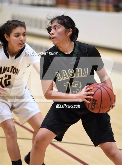 Thumbnail 1 in Basha @ Hamilton photogallery.