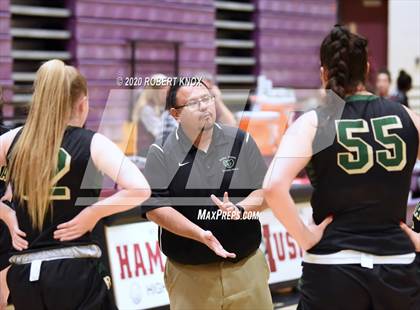 Thumbnail 3 in Basha @ Hamilton photogallery.