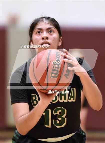 Thumbnail 1 in Basha @ Hamilton photogallery.